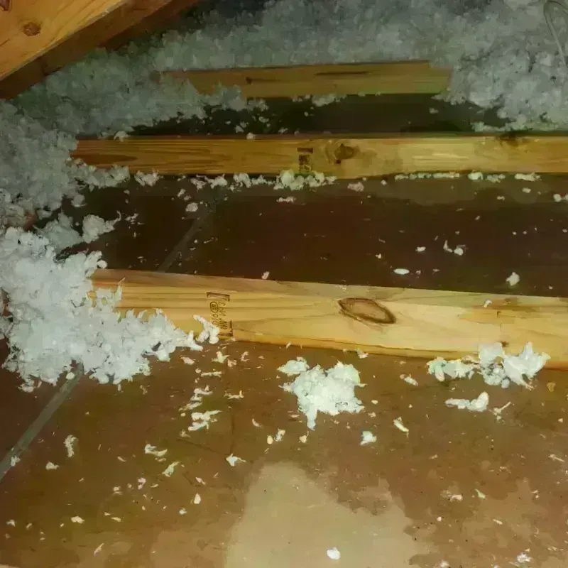 Attic Water Damage in Downieville, CA